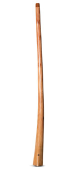 Wix Stix Didgeridoo (WS165)